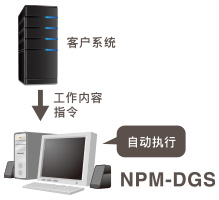 客户系统 - 工作内容指令 - NPM-DGS